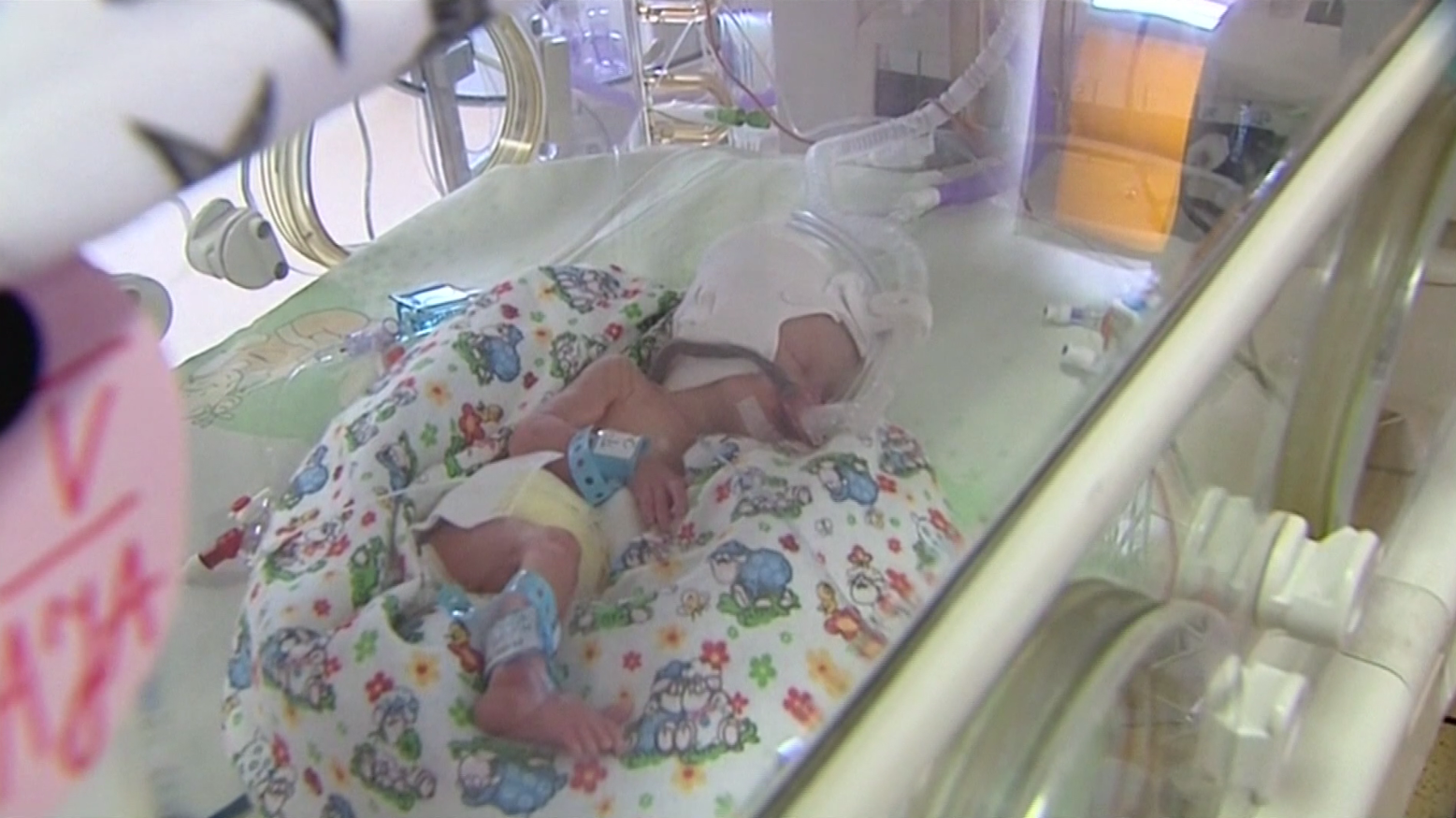 Poland's first sextuplets